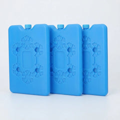 Blocs de glace réutilisables (pack de 3)